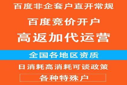SEM搜索引擎优化：广告创意的策划与执行