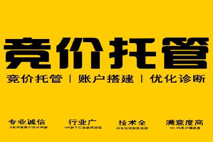 SEM竞价开户成功秘诀：案例分析